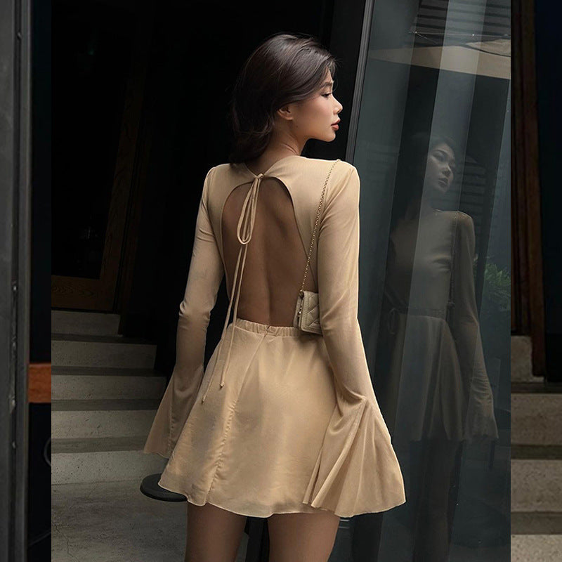 Long Sleeve Mesh Open Back Bodycon Dress